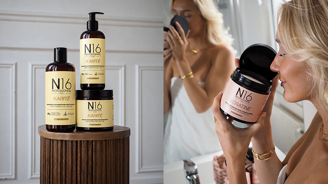 N16 PROFESSIONNEL