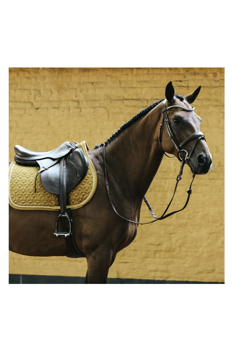 Comment bien choisir son gilet airbag pour l'équitation ? - Sellerie Des  Nacres